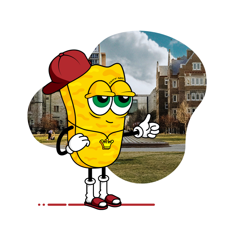 hero image